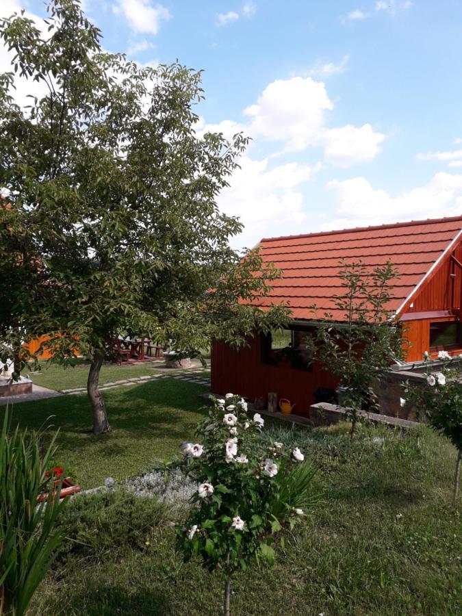 Matyas Apartman Tard Exterior foto